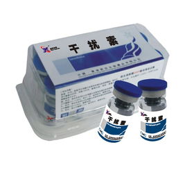 供應干擾素 禽畜通用型高效免疫增強劑，助力科學養殖